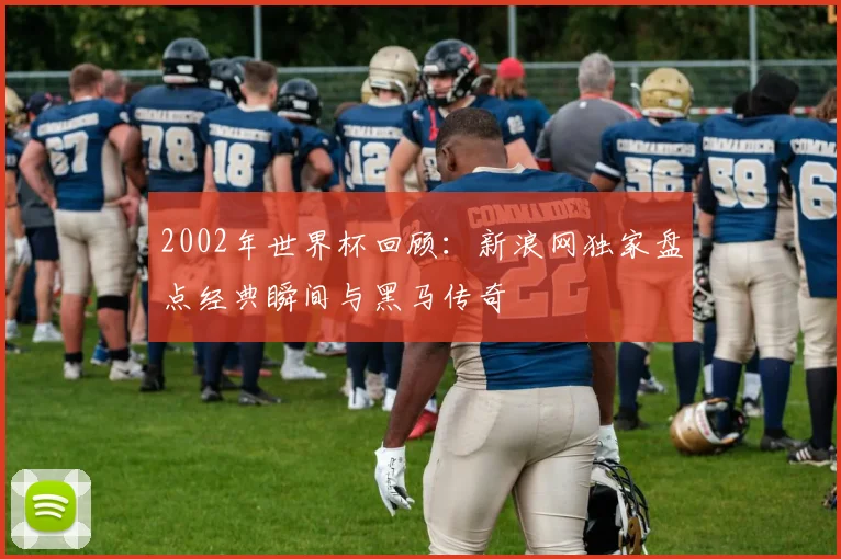 2002年世界杯回顾:新浪网独家盘点经典瞬间与黑马传奇