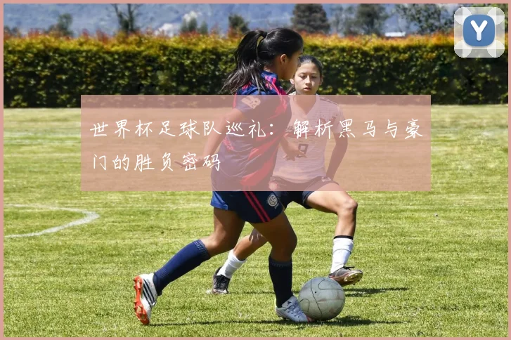 世界杯足球队巡礼：解析黑马与豪门的胜负密码