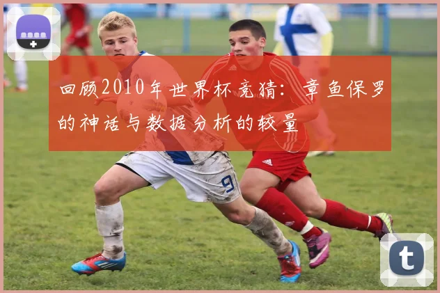 回顾2010年世界杯竞猜：章鱼保罗的神话与数据分析的较量