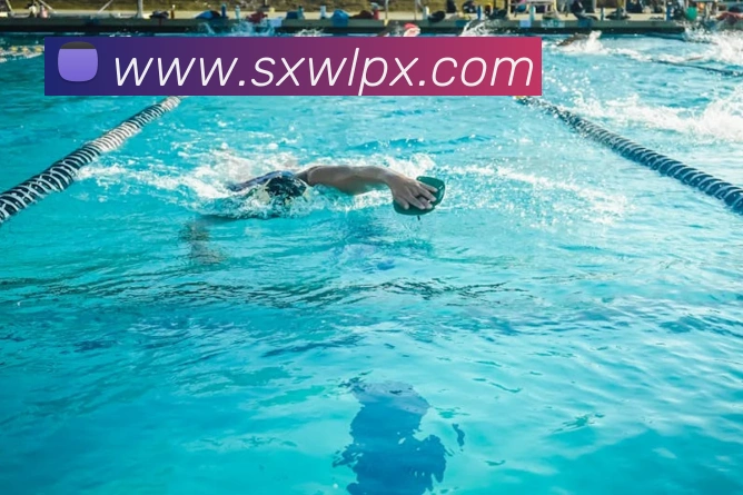 App Interface Preview