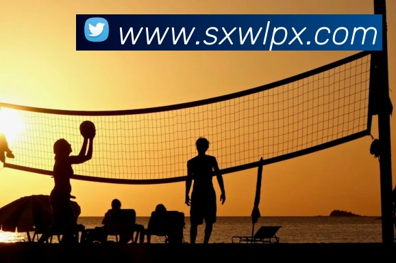 emc易倍官方官网APP 封面图